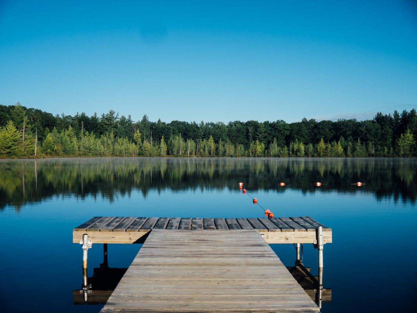A wooden dock reaching into a still lake ringed by dense green forest.
