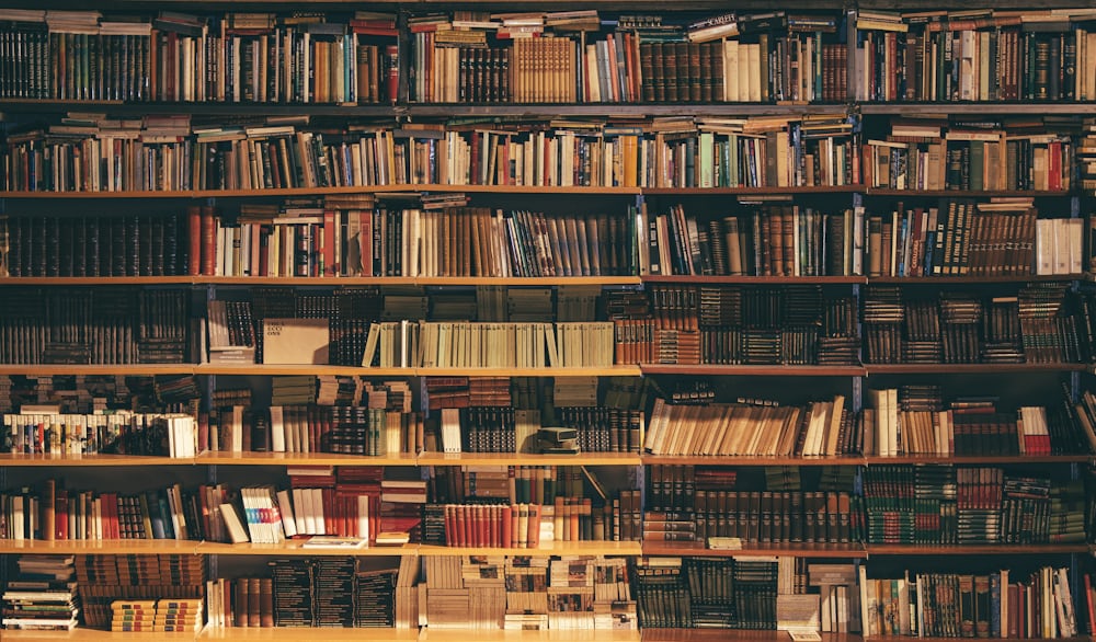 A long row of tightly packed bookshelves receding into low light.